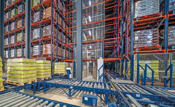 一次全面体检，提高仓储效率与安全双重保障